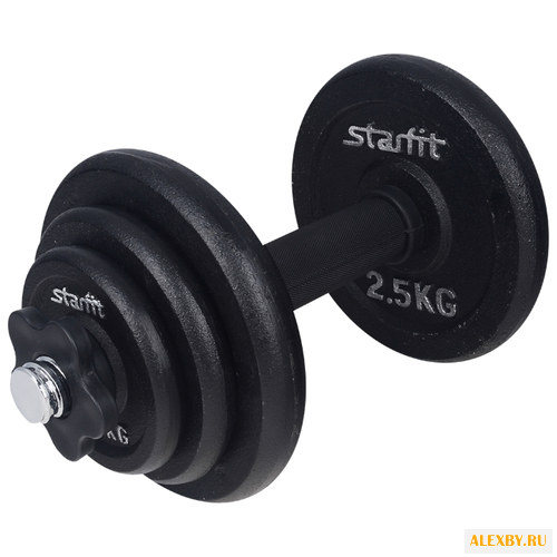 Гантель разборная Starfit