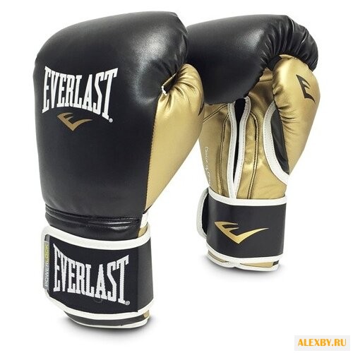 Купить Боксерские перчатки Everlast