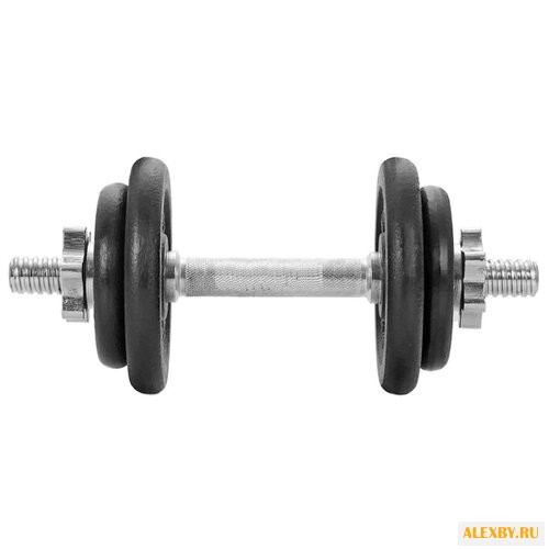 Гантель разборная Lite Weights