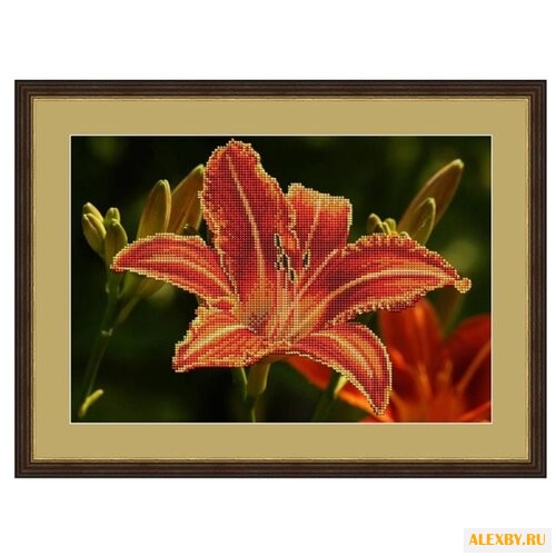 Galla Collection Набор для