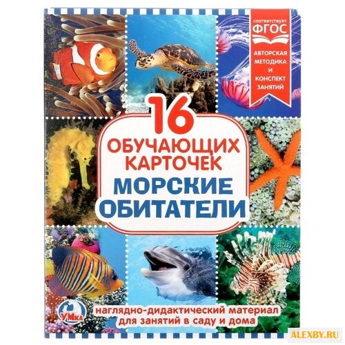 Набор карточек Умка Морские