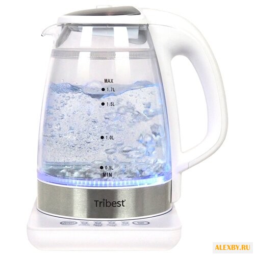 Чайник Tribest GKD-450