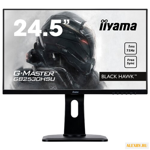 Монитор Iiyama G-Master