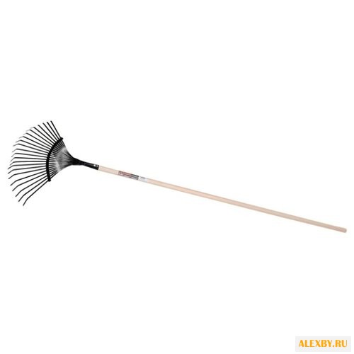 Купить Грабли веерные FISKARS Solid