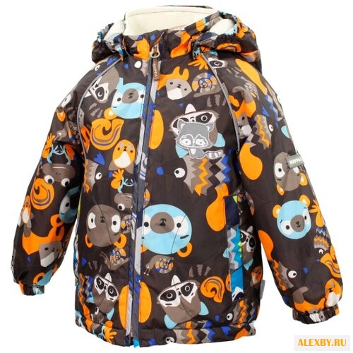 Купить Куртка Huppa Rommy 1757CS16