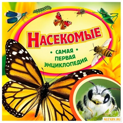 Купить Травина И.В. Самая первая