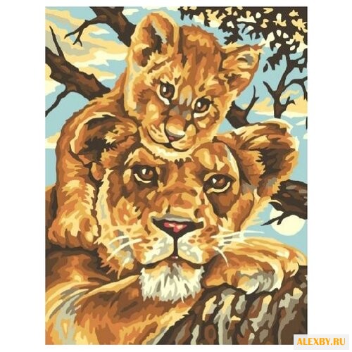 Color Kit Картина по номерам