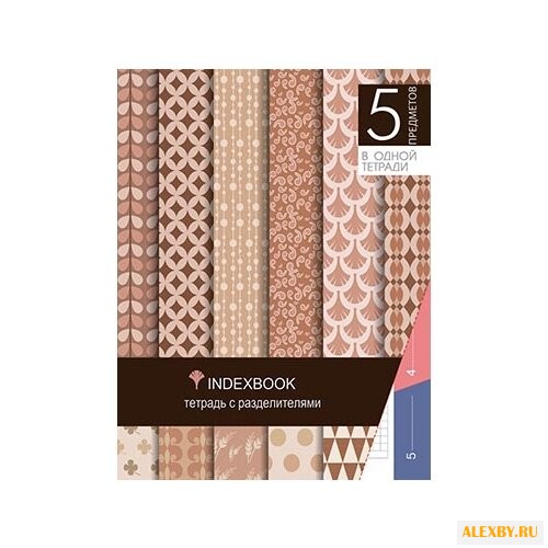 Plano Тетрадь С0274-29 в