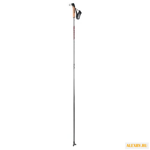 Лыжные палки Swix Triac 1.0