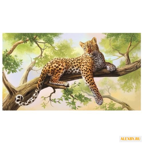 Рыжий кот Картина по номерам