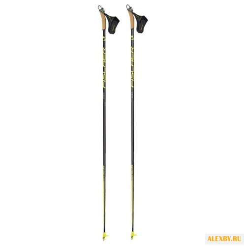 Лыжные палки Fischer RC9