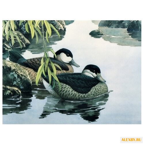 Hobbart Картина по номерам