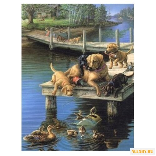 Paintboy Картина по номерам На