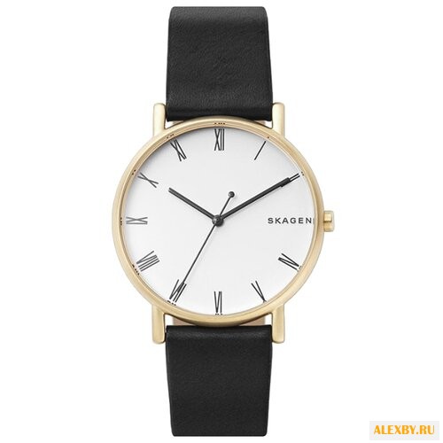 Наручные часы SKAGEN SKW6426
