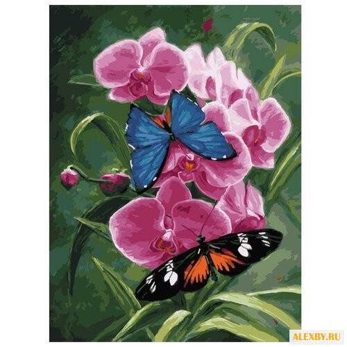 Color Kit Картина по номерам