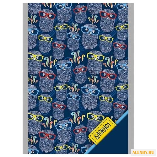 Блокнот КТС-ПРО Совы в очках А6