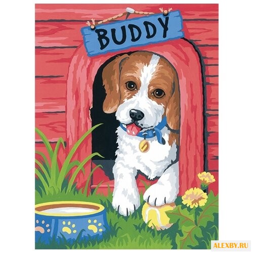 Dimensions Картина по номерам