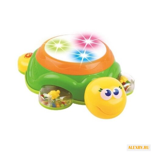 Рыжий кот барабан Черепашка