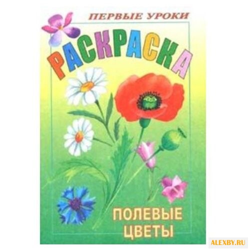 Hatber Раскраска. Первые уроки.