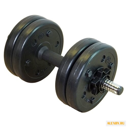 Гантель разборная Lite Weights
