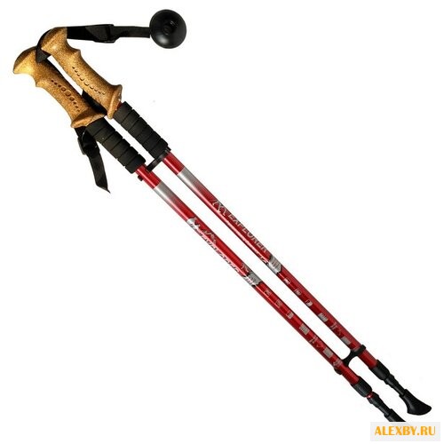 Купить Палка для скандинавской ходьбы