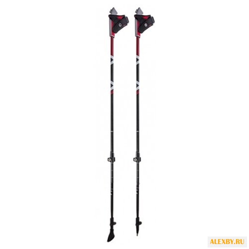 Палка для скандинавской ходьбы