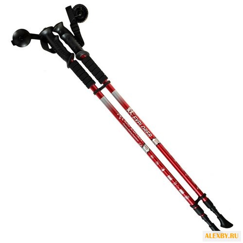 Купить Палка для скандинавской ходьбы