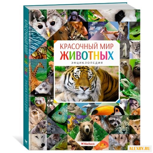 Балле К. Красочный мир животных