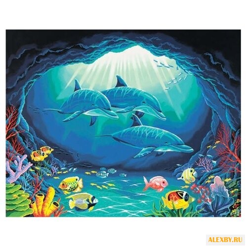 Dimensions Картина по номерам