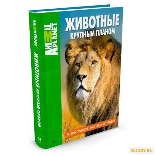 Животные крупным планом.