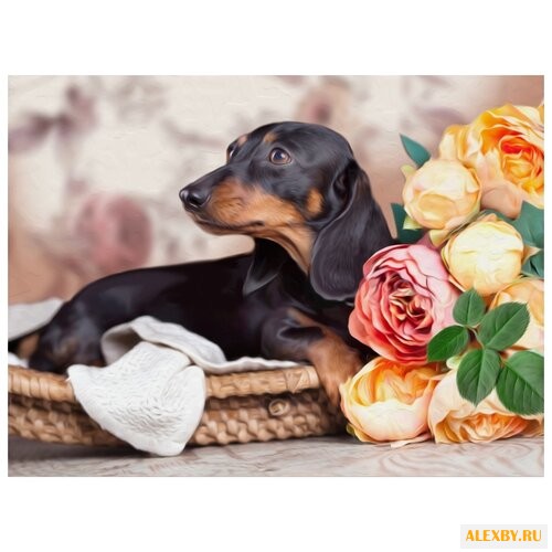 Алмазная живопись Набор