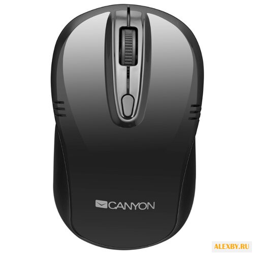 Мышь Canyon CNE-CMSW02B Black USB