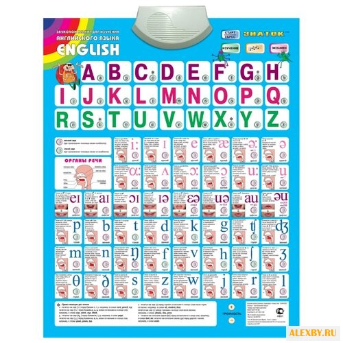 Электронный плакат Знаток