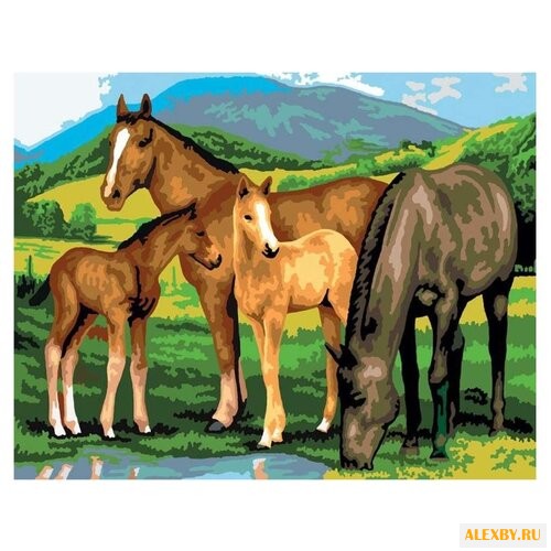 Royal & Langnickel Раскраска по