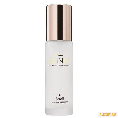 Scinic Snail Matrix Essence