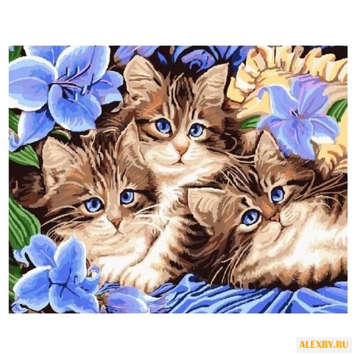 Paintboy Картина по номерам