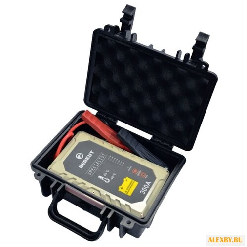 Пусковое устройство BERKUT