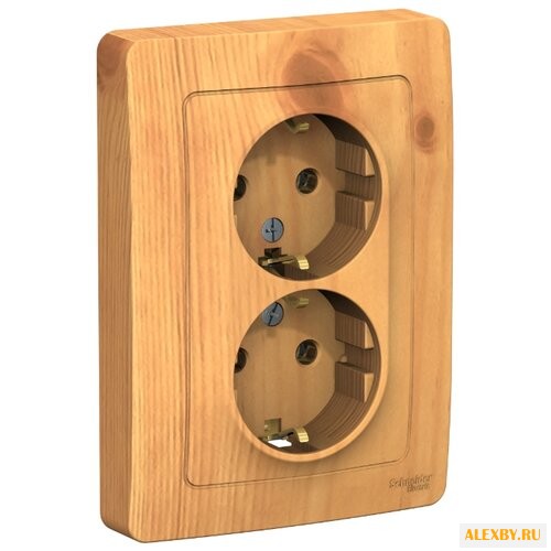 Розетка Schneider Electric