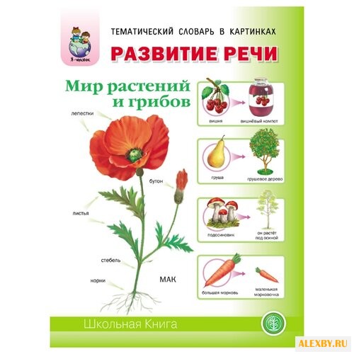 Тематический словарь в