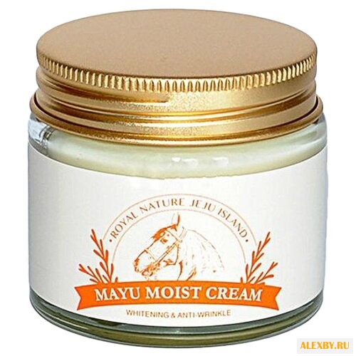 Scinic Mayu Moist Cream Крем