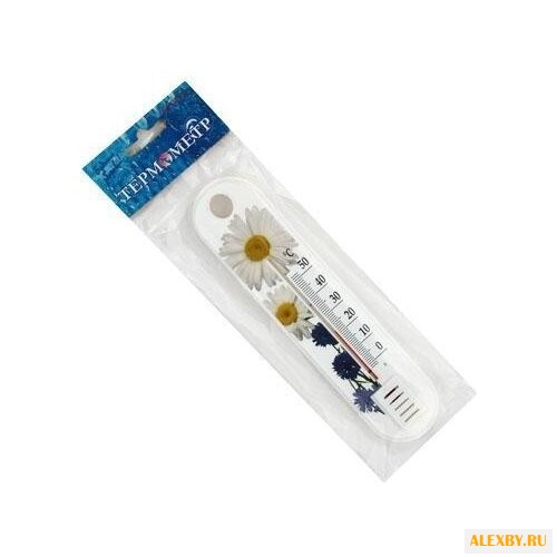 Термометр Первый термометровый
