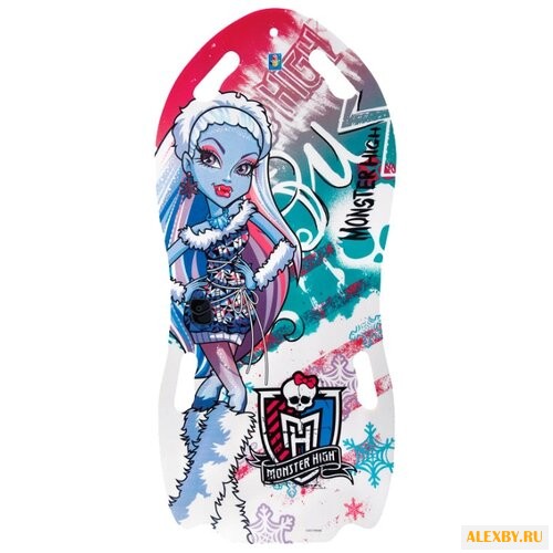 Ледянка 1 TOY Monster High Т56337