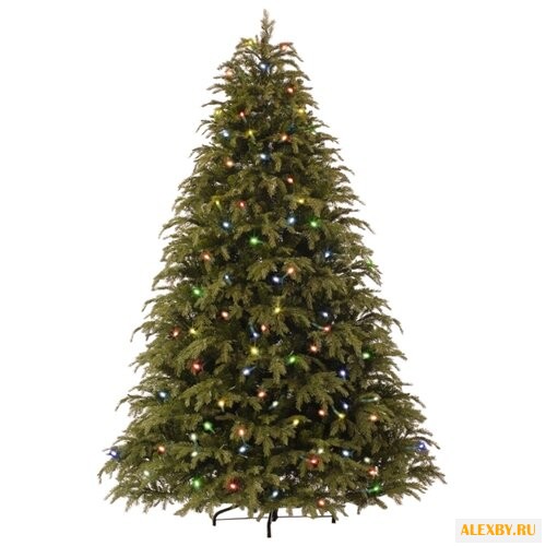 Купить Царь елка Ель Реал