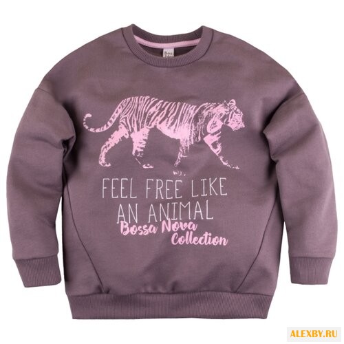 Свитшот Bossa Nova