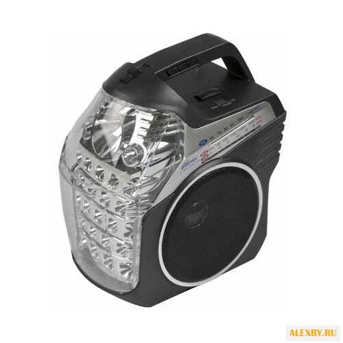 Радиоприемник Ritmix RPR-505