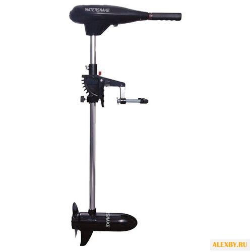 Лодочный мотор WATERSNAKE FWT44