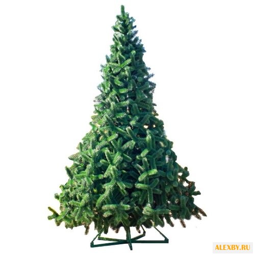 Green Trees Ель Рублевская