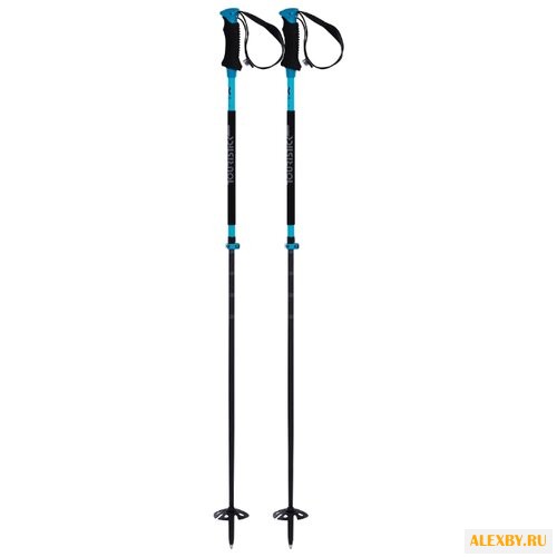 Палки для горных лыж Volkl