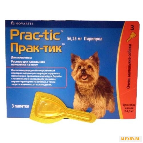 Novartis Прак-тик для мелких