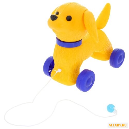 Каталка-игрушка Сима-ленд Шарик